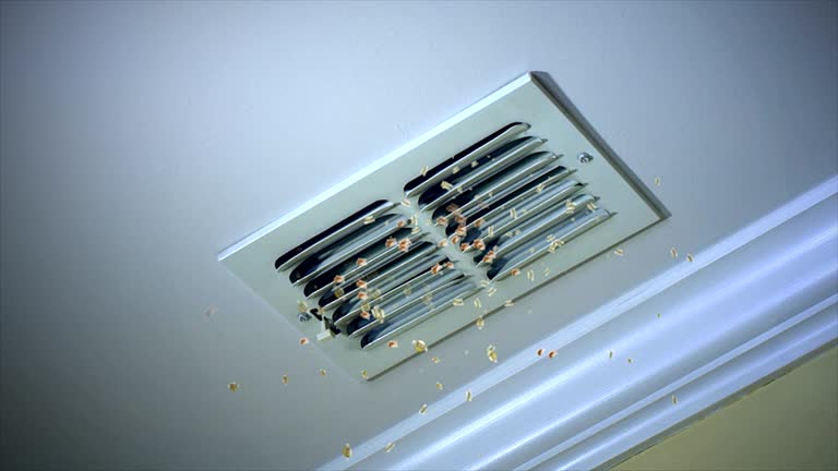 Best General Air Duct Cleaning  in Hasson Heights, PA