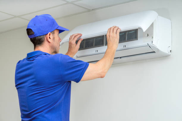 Best Air Duct Mold Removal  in Hasson Heights, PA